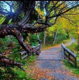  Forsythe Park